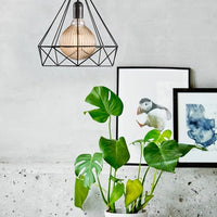 Aire Pendant Black Metal E27