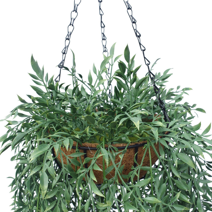 Hanging Fern Basket 110 cm