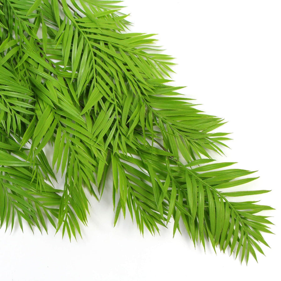 Hanging Fresh Green Bamboo Leaf Fern UV Resistant 80cm