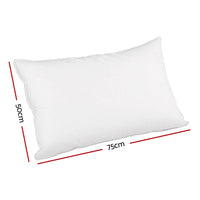 Duck Feather Down Twin Pack Pillow