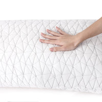 Set of 2 Rayon Single Memory Foam Pillow