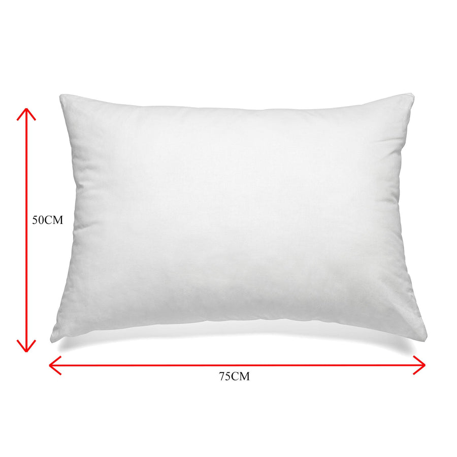 Goose Down Feather Pillows 1000GSM 100% Cotton Cover - White