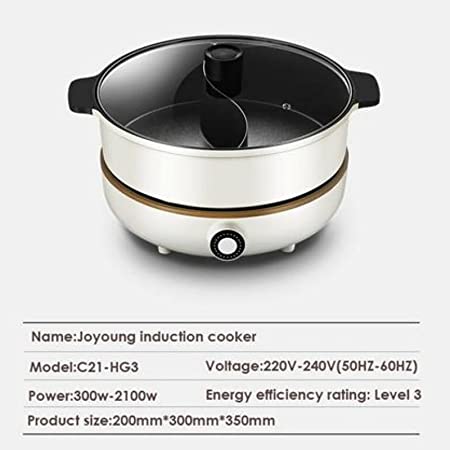 IH Induction Cooker with Hot Pot C21-CL01 300W-2100W