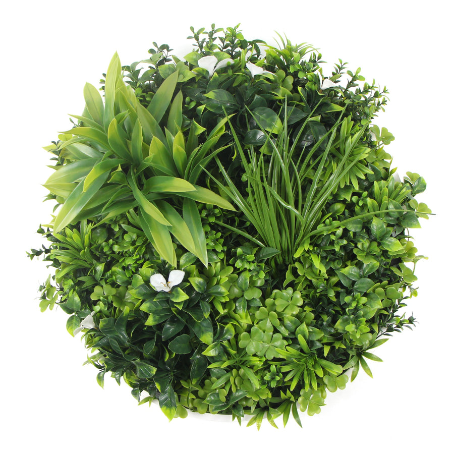 Flowering White Artificial Green Wall Disc UV Resistant 75cm (Black Frame)