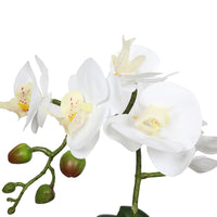 Potted Single Stem White Phalaenopsis Orchid with Decorative Pot 35cm